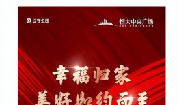 恒大最新爆料视频,揭秘企业困境背后的真相