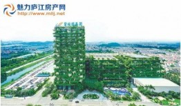 庐江碧桂园爆料视频,揭秘项目真实情况与争议焦点