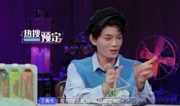 圈内爆料丁禹兮,圈内爆料揭示明星背后的故事